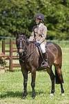 Wanborough Horse and Dog show