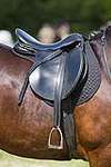 Wanborough Horse and Dog show