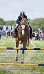 Wanborough Horse and Dog show