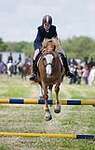 Wanborough Horse and Dog show