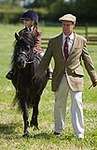 Wanborough Horse and Dog show