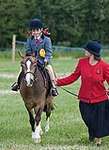 Wanborough Horse and Dog show