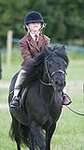 Wanborough Horse and Dog show