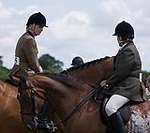 Wanborough Horse and Dog show