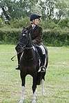 Wanborough Horse and Dog show