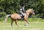 Wanborough Horse and Dog show