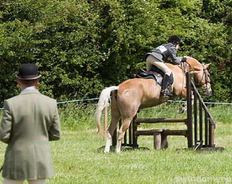 Wanborough Horse and Dog show