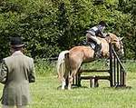 Wanborough Horse and Dog show
