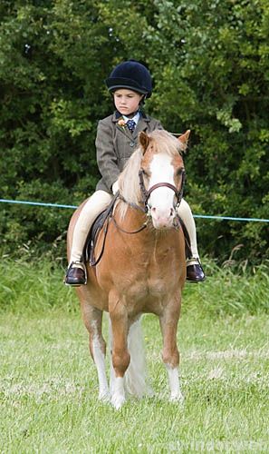 Wanborough Horse and Dog show