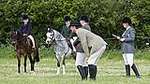 Wanborough Horse and Dog show