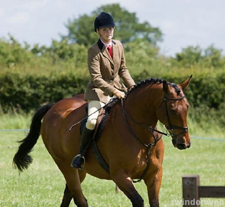 Wanborough Horse and Dog show
