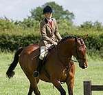 Wanborough Horse and Dog show