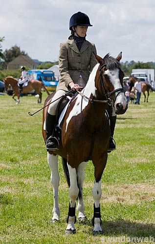 Wanborough Horse and Dog show