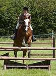 Wanborough Horse and Dog show