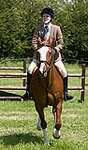 Wanborough Horse and Dog show