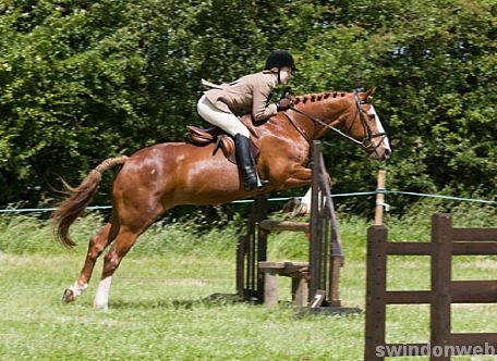Wanborough Horse and Dog show