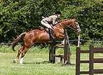 Wanborough Horse and Dog show