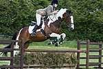 Wanborough Horse and Dog show