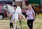 Wanborough Horse and Dog show