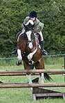 Wanborough Horse and Dog show