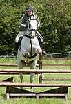Wanborough Horse and Dog show