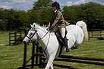 Wanborough Horse and Dog show