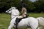 Wanborough Horse and Dog show