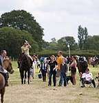 Wanborough Horse and Dog show