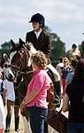 Wanborough Horse and Dog show