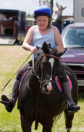 Wanborough Horse and Dog show