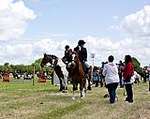 Wanborough Horse and Dog show