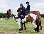 Wanborough Horse and Dog show