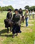 Wanborough Horse and Dog show