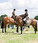 Wanborough Horse and Dog show