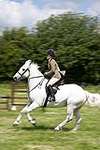 Wanborough Horse and Dog show