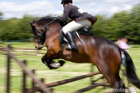Wanborough Horse and Dog show