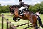 Wanborough Horse and Dog show