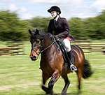 Wanborough Horse and Dog show