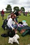 Liddington Fete and Dog Show 2009