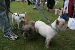 Liddington Fete and Dog Show 2009