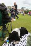 Liddington Fete and Dog Show 2009