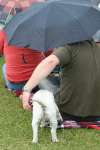 Liddington Fete and Dog Show 2009