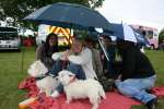 Liddington Fete and Dog Show 2009