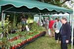 Liddington Fete and Dog Show 2009
