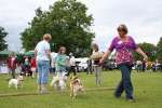 Liddington Fete and Dog Show 2009