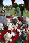 Liddington Fete and Dog Show 2009