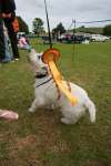 Liddington Fete and Dog Show 2009