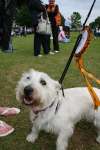 Liddington Fete and Dog Show 2009