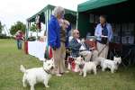 Liddington Fete and Dog Show 2009