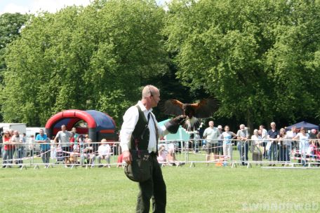 Armed Forces Day 2009